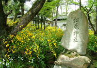 松尾大社